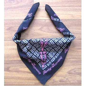 Triangle Bandana