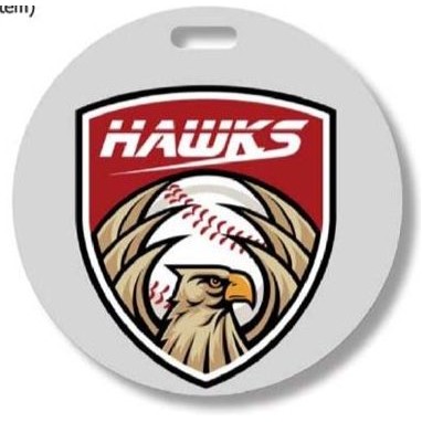 4.0" Round Luggage/Bag Tag w/Standard Hole - Laminated